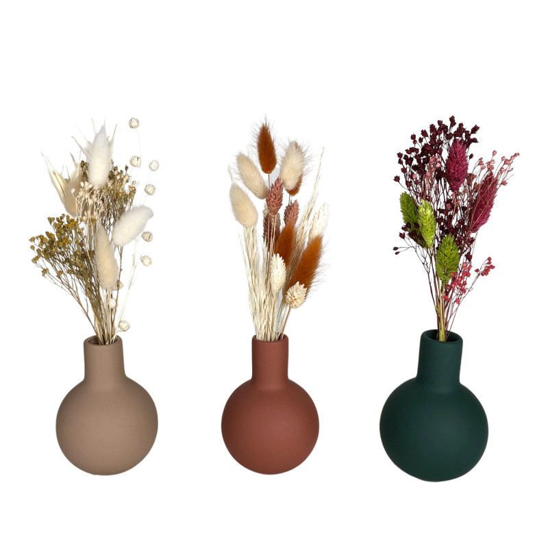 Anémone (3 vases colors)
