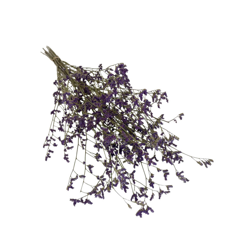 Natural Purple Limonium